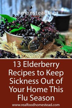 Elderberry Jelly Recipe, Elderberry Vinegar, Elderberry Gummies, Home Canning Recipes