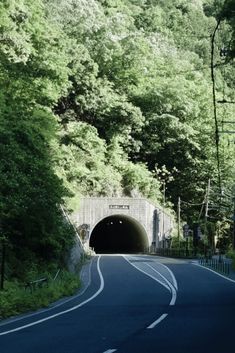 a road going into a tunnel in the woods