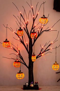 a tree decorated with pumpkins and jack - o'- lanterns is lit up