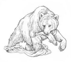 a drawing of a bear with a fish in its mouth