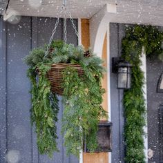 a basket hanging from the side of a building with evergreens and pine cones on it