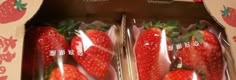 two packages of fresh strawberries are wrapped in plastic