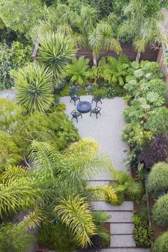 an aerial view of a garden with trees and plants