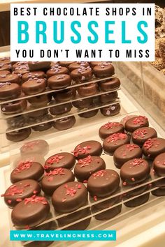 two trays filled with chocolate covered cupcakes and the words best chocolate shops in brussels you don't want to miss