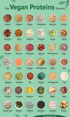 the top vegan proteins sources and their uses in each type of food, including beans