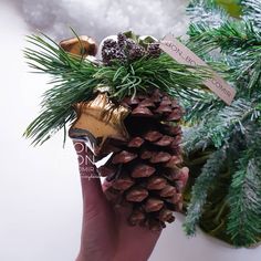 a hand holding a pine cone with a bell on it