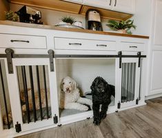 two dogs are sitting in their kennels at the kitchen counter and on the floor