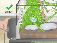 an aquarium with plants in it and water running from the tank to the bottom,