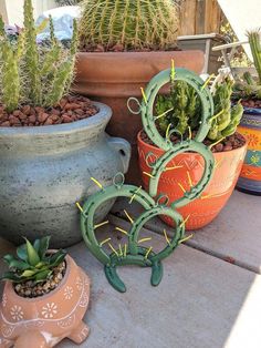 several potted plants are sitting on the ground in front of some pots with cacti and succulents