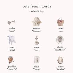 a poster with words and pictures on it that say cute french words in different languages