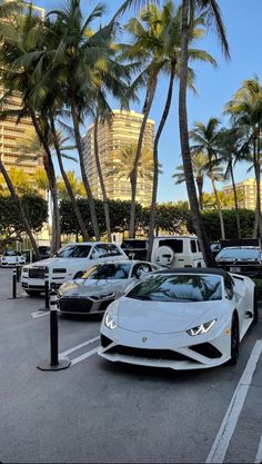 several white sports cars parked in a parking lot next to palm trees and tall buildings