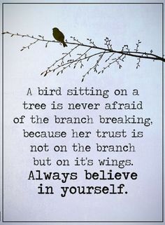 a bird sitting on a tree branch with a quote below it that reads, always believe in yourself