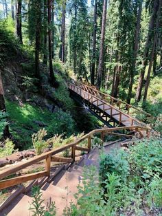 a wooden bridge in the middle of a forest