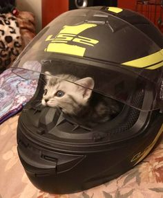 a kitten sitting inside of a helmet on top of a bed