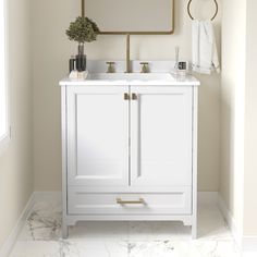 a bathroom vanity with a mirror above it and a plant on the counter top next to it