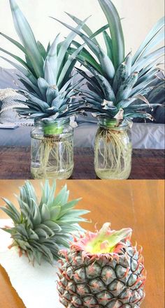 two pineapples sitting on top of a table next to jars filled with plants