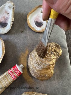 a person using a brush to paint some oysters