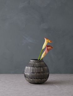 a black and white vase with two flowers in it on a gray table next to a grey wall