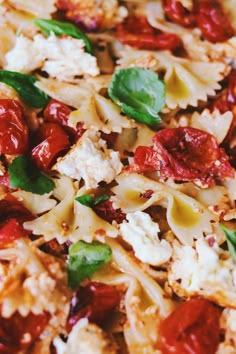 closeup of pasta with tomatoes and spinach leaves on it's top surface