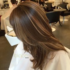 Brown Hair With Caramel, Brown Hair With Caramel Highlights, Highlights Ideas, Honey Brown Hair, Brown Hair Inspo, Brunette Hair With Highlights, Chocolate Brown Hair