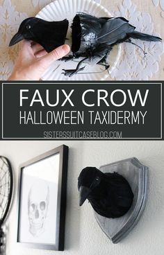 a paper plate with two black birds on it and the words faux crow halloween taxidermy