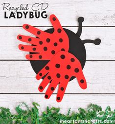 a ladybug craft made out of red paper on top of white wood planks