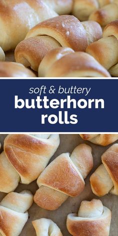 soft and buttery butterfly rolls on a baking sheet with text overlay that reads, soft and buttery butterfly rolls