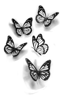 six black and white butterflies on a white background with the shadow of one butterfly in the middle