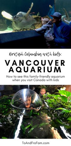 the vancouver aquarium with text overlay reads british columbia with kids vancouver aquarium how to see this family - friendly aquarium when you visit canada