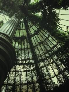 the inside of a building with trees growing on it