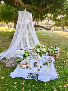 a table set up for a wine tasting under a tree with a white net over it