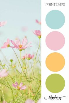 the color palette is pink, yellow and green with some flowers in front of it