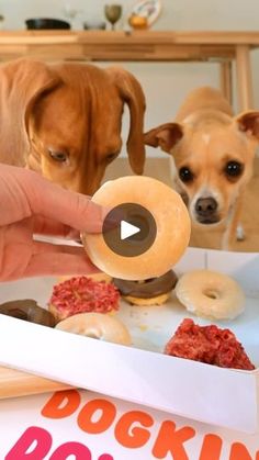 two dogs looking at doughnuts in a box on the table and one is pointing to it