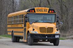 a yellow school bus is parked on the side of the road in front of some trees