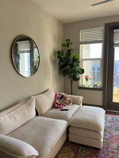 a living room with a sectional couch, mirror and potted plant in the corner