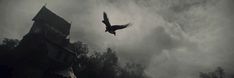 a black and white photo of a bird flying in front of a castle like building