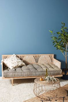 a living room with a couch, coffee table and potted plant on the floor