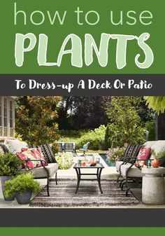 the cover of how to use plants to dress up a deck or patio