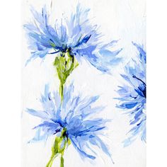 a painting of blue flowers on a white background