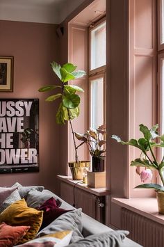 a bedroom with pink walls and plants on the window sill in front of it