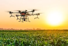 Agriculture Drones Market Agriculture Drone, Smart Farm, Crop Protection, Drone For Sale, Agriculture Industry, Unmanned Aerial Vehicle, Drone Images, Dji Drone, Drone Technology