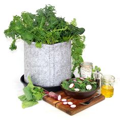 a potted plant sitting on top of a wooden cutting board next to other vegetables