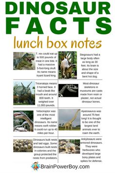 the dinosaur fact book with pictures of dinosaurs and other things to see on it's page