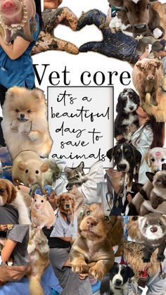 Vet core Veterinarians Medicine, Veterinarian Technician, Animal Infographic