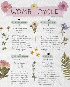 Madisyn Alberry ✿ on Instagram: "Womb cycle wisdom from my journal + text posts I love 🌹🌸🩸🌓💞  #wombcycle #wombwisdom #menstruationart #menstruation  #wombguidance" Natural Cycle Tracking, Womb Herbs, Menstruation Spiritual, Menstruation Cycle Phases, Cycle Tracking Menstrual Journal, Menstrual Cycle Magic, Womb Cycle, Womb Care, Menstrual Affirmations