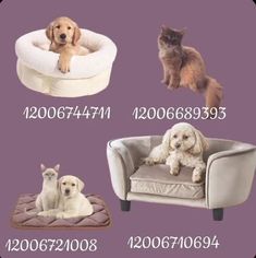 four different types of dog and cat beds