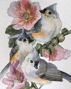 three birds sitting on top of a branch with flowers in the background and watercolor