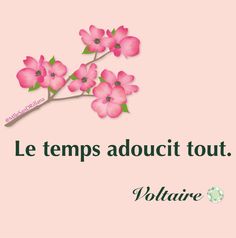 a pink flower with the words, le temps adoutt tout voltaire