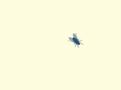 a blue insect flying through the air on a light yellow background with no clouds in sight