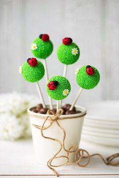 green cake pops with ladybugs on them in a pot